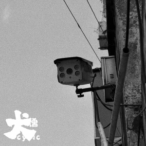 大学生一级毛片
